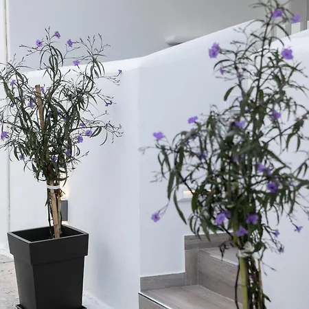 Anemela Lux Apartment