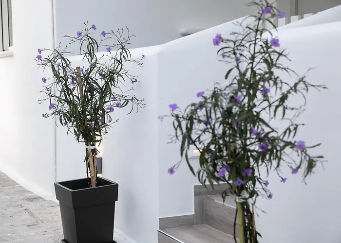 Anemela Lux Appartamento