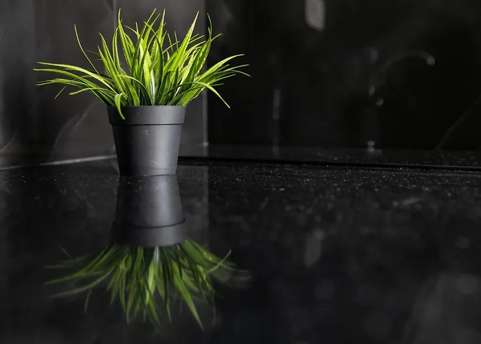 Appartamento Anemela Lux